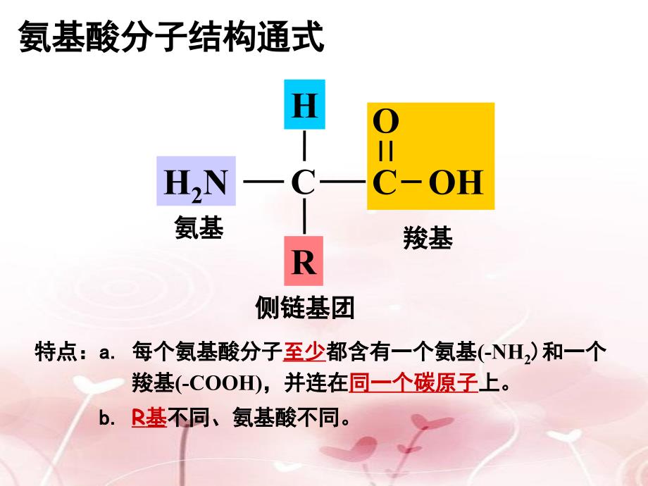 2.2蛋白质生命活动的承担者_第4页