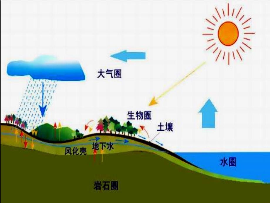 高一地理《自然地理环境的整体性》(课件)_第5页