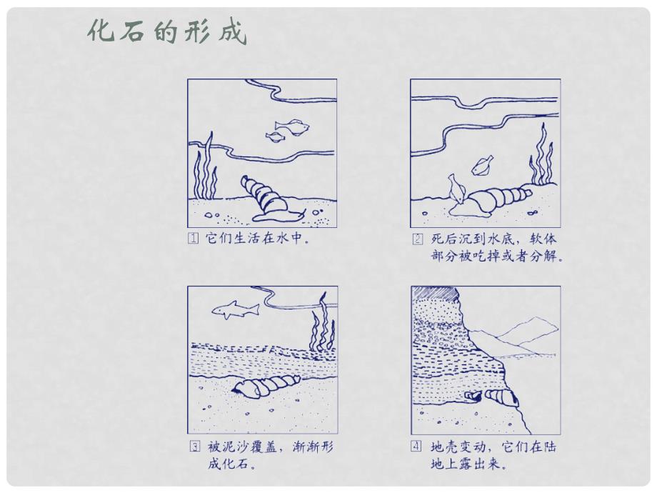 七年级语文上册 第五单元 化石吟课件 （新版）新人教版_第2页