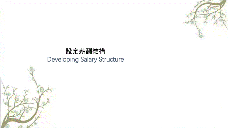 Mercersalary伟氏顾问的人力资源薪酬设计方案课件_第2页