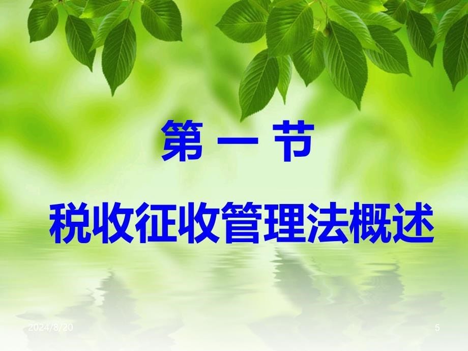 税收征管法PPT课件.ppt_第5页