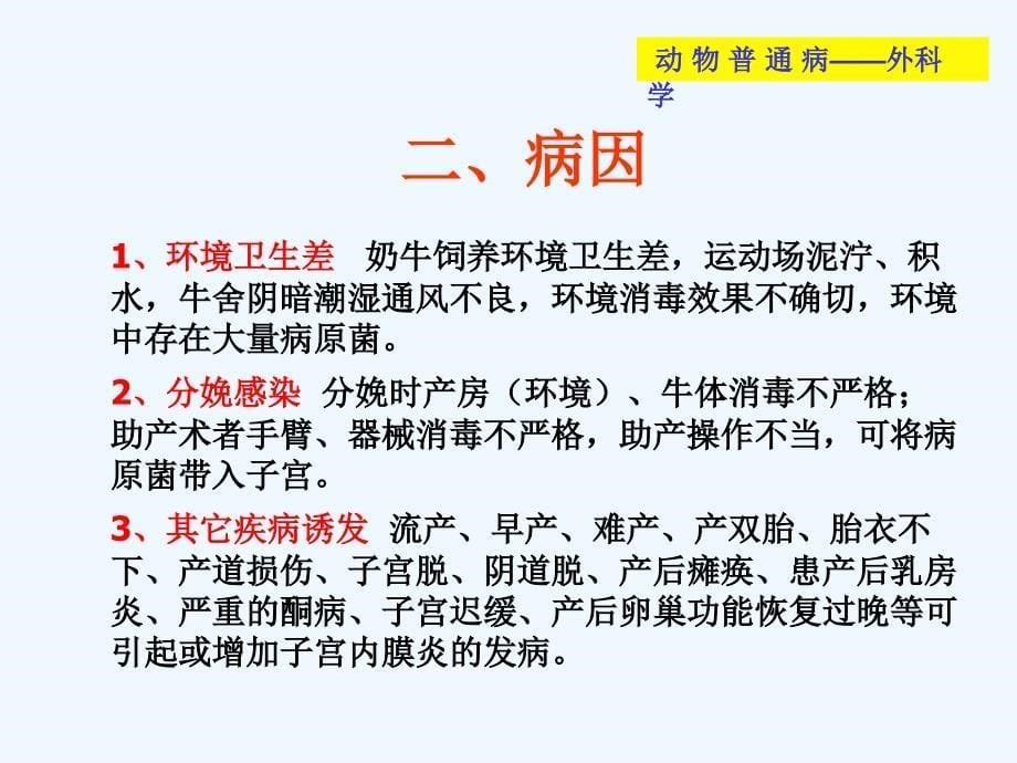 产后疾病子宫内膜炎课件_第5页