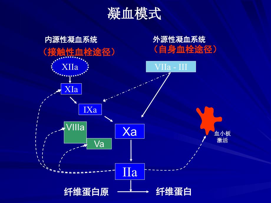 PCI围手术期抗栓治疗_第4页