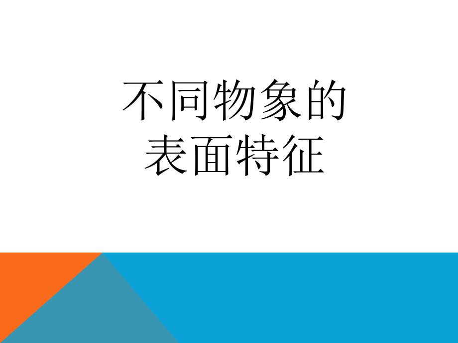 小学五年级下册美术课件-8.不同物象的表面特征岭南版(11张)ppt课件_第2页