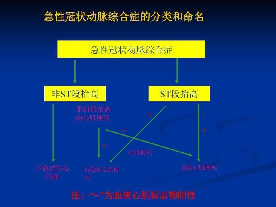 不稳定型心绞痛和非ST段抬高心肌梗死治疗指南解读_第5页