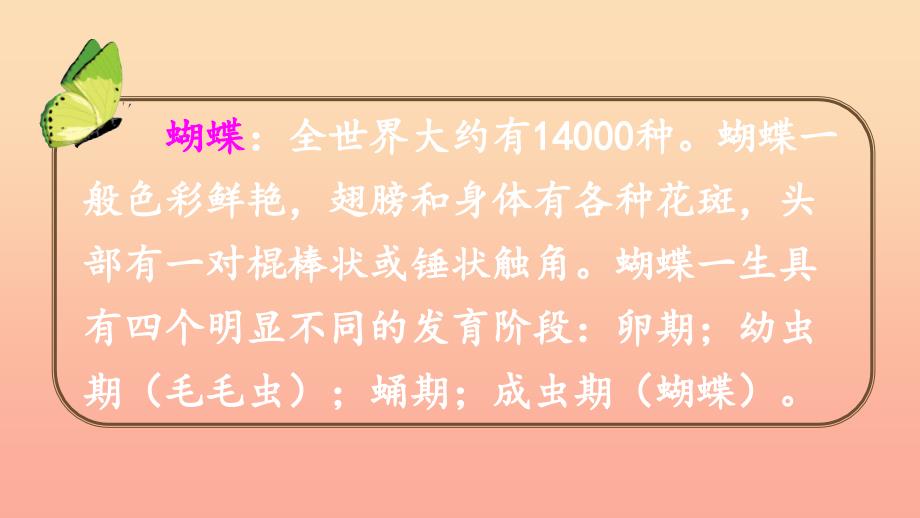 2022二年级语文下册课文622小毛虫教学课件新人教版_第2页