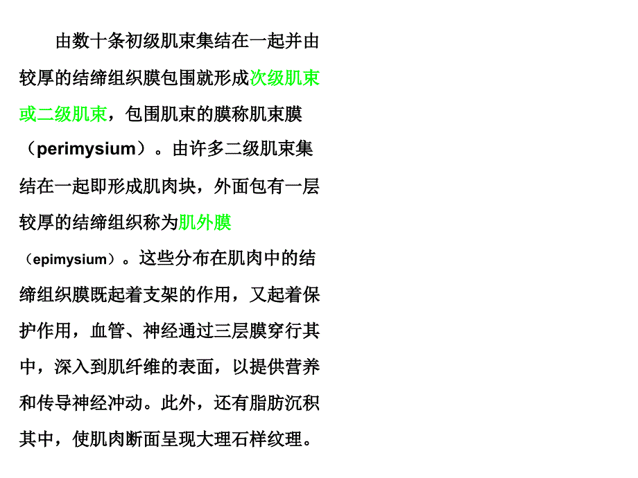 《肉的结构及特性》PPT课件.ppt_第4页