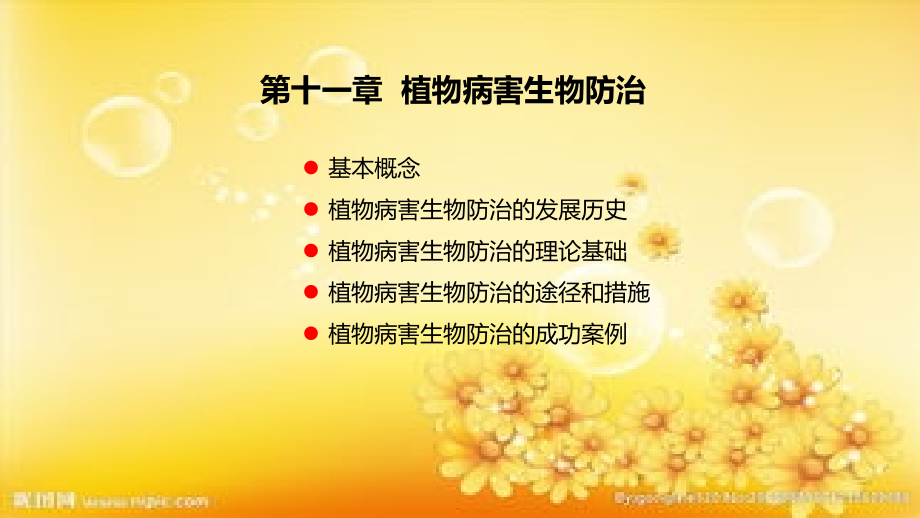 植物病害生物防治课件_第1页