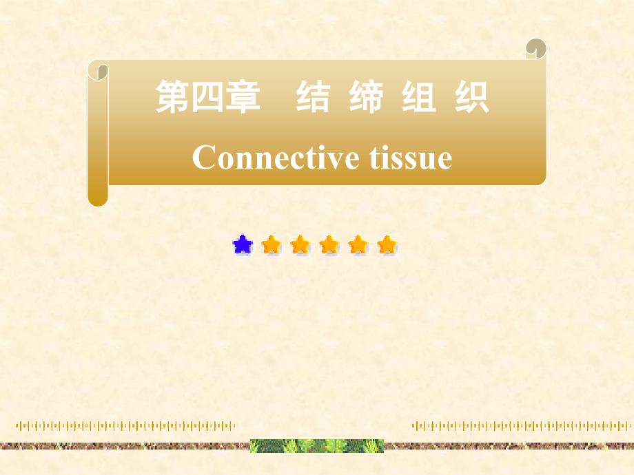 组织学与胚胎学组胚结缔组织课件_第1页