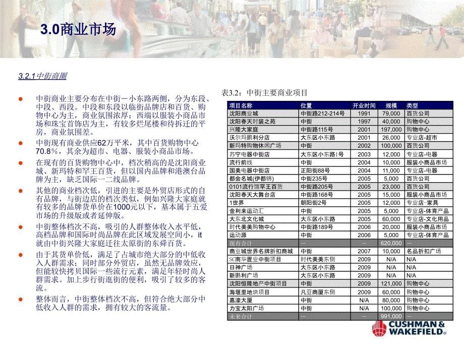 高纬国际沈阳太原街商业项目市场和定位商业市场课件_第5页