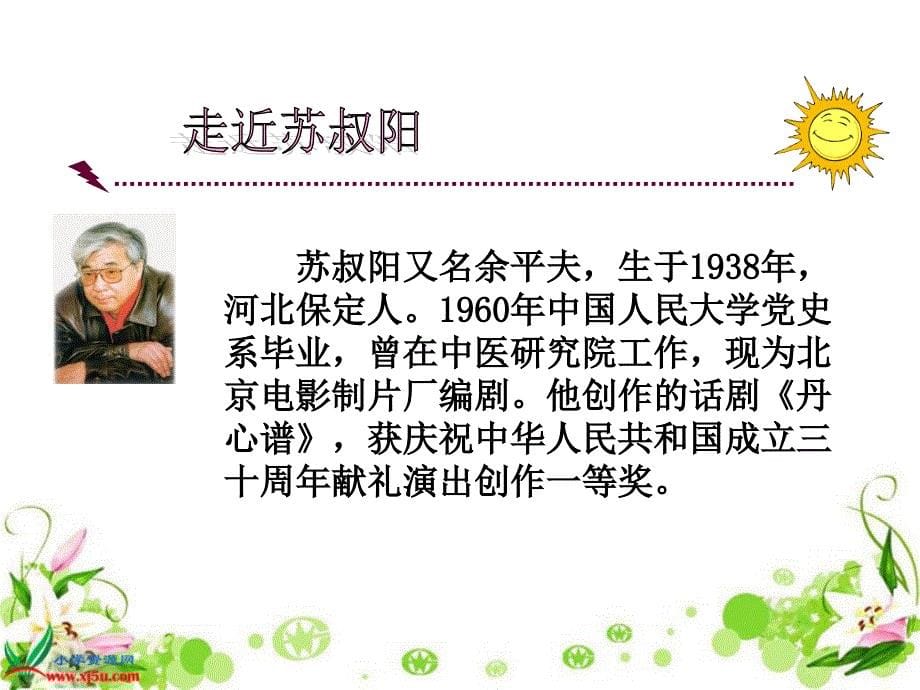 22《理想的风筝》ppt_第5页