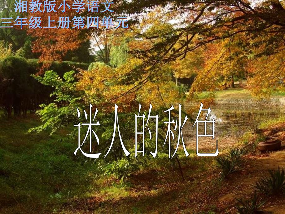 湘教版三年级上册迷人的色课件_第1页