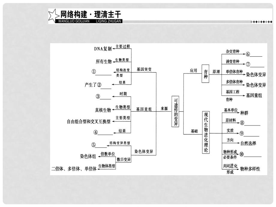 高考生物二轮专题复习 专题三 遗传、变异和进化 小专题8 生物的变异、育种和进化课件_第4页