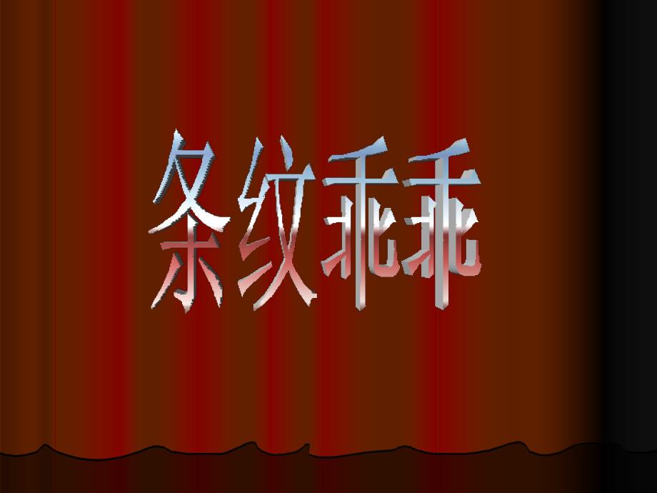 二年级上册美术课件-《条纹乖乖》课件1湘教版(共13张PPT)_第1页