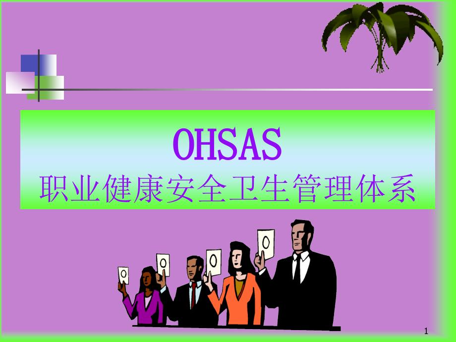 OHSAS职健康安全卫生管理体系_第1页