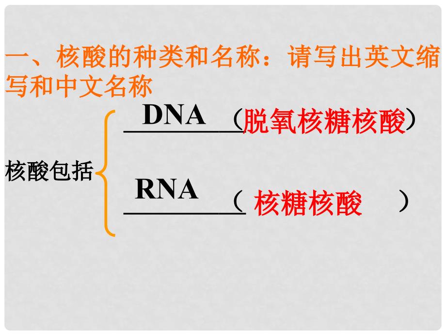 高中生物：2.3核酸课件人教版必修1_第2页