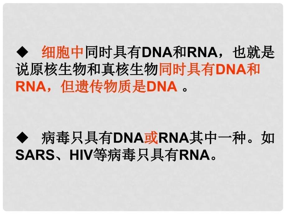 高中生物：2.3核酸课件人教版必修1_第5页