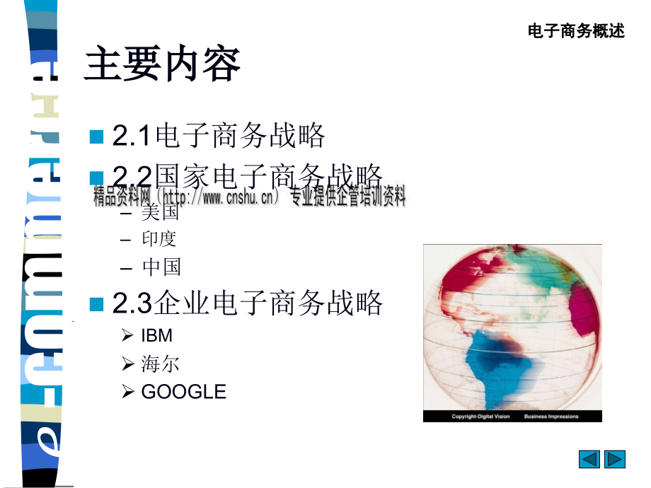 企业电子商务战略(61页PPT)_第2页