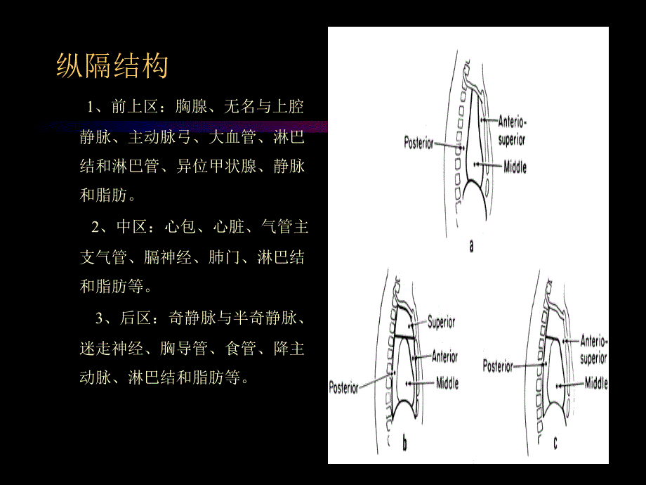 纵隔肿瘤的考放射治疗.ppt_第4页