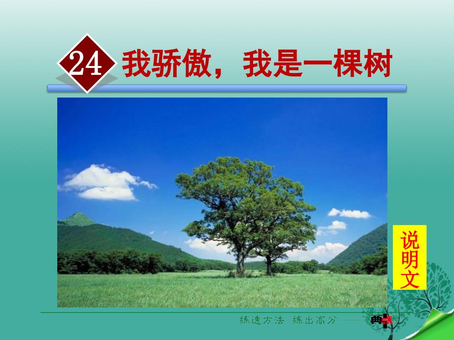 八年级语文下册 第5单元 第24课 我骄傲我是一棵树课件 （新版）苏教版_第2页