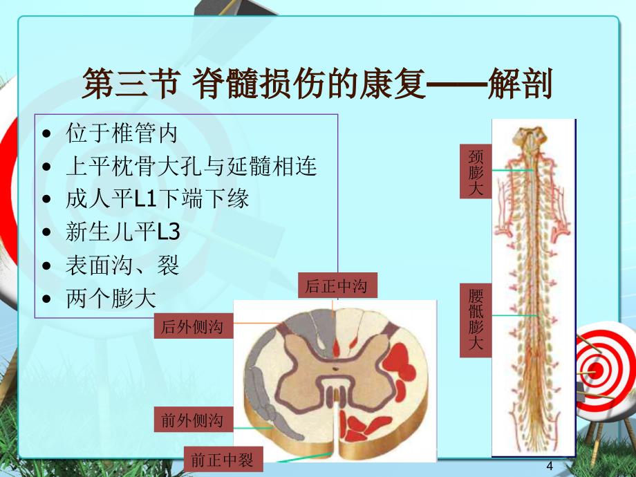 基础医学第十一章第三节脊髓损伤的康复.ppt_第4页