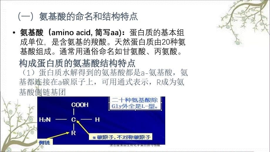 张忠版食品生物化学蛋白质与核酸_第5页