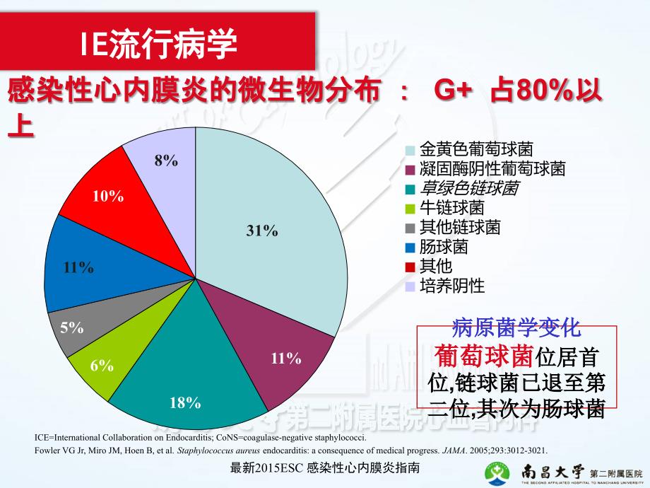 感染性心内膜炎的管理ESCIE_第4页