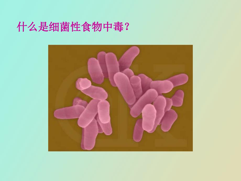 常见细菌性食物中毒临床及流行病学特征_第4页