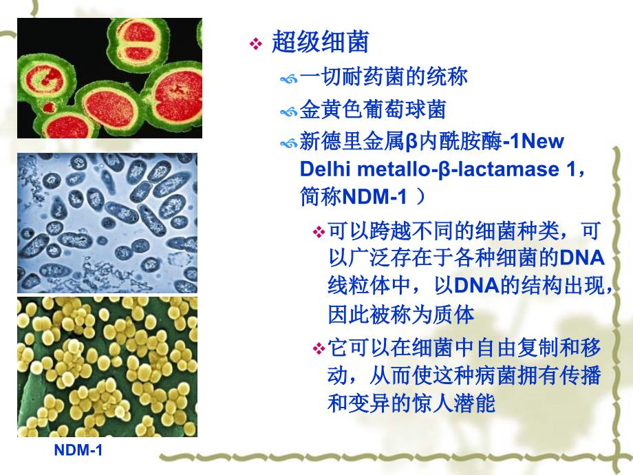 《动物生物技术绪论》PPT课件.ppt_第4页