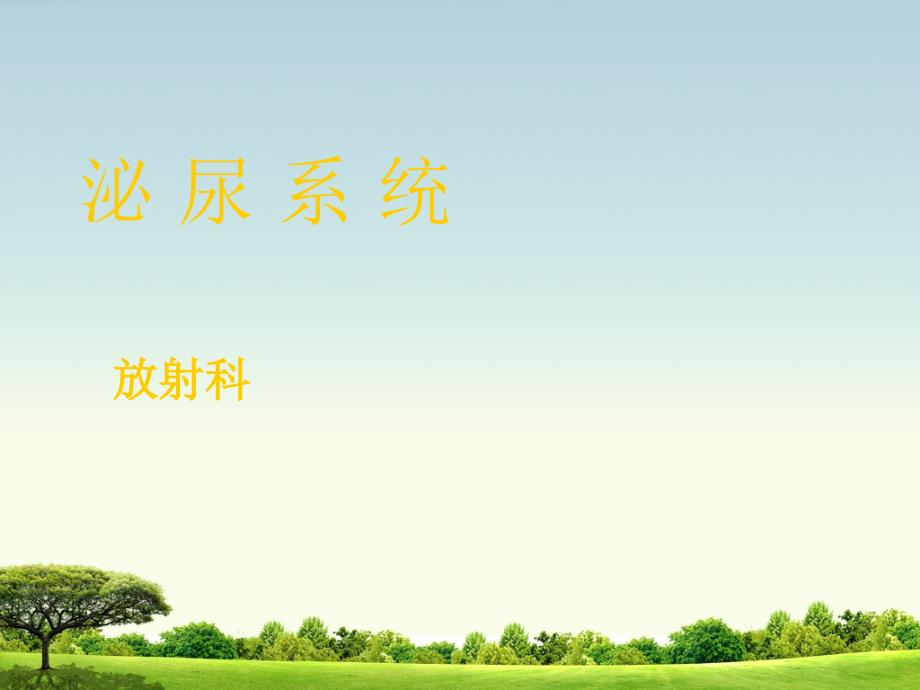 泌尿系造影、影像诊断_第1页
