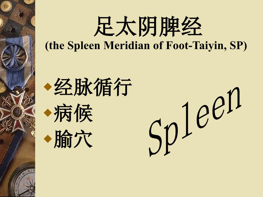 足太阴脾经theSpleenMeridianofFootTaiyinSP_第1页