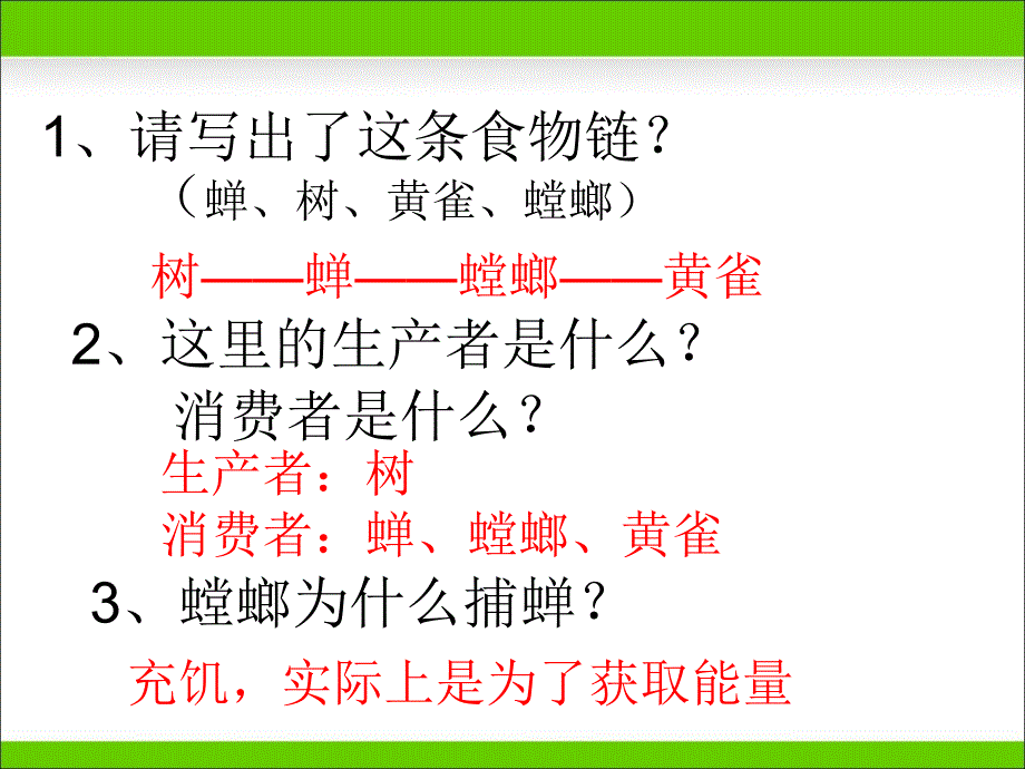 生态系统中的能量流动和物质循环_第4页