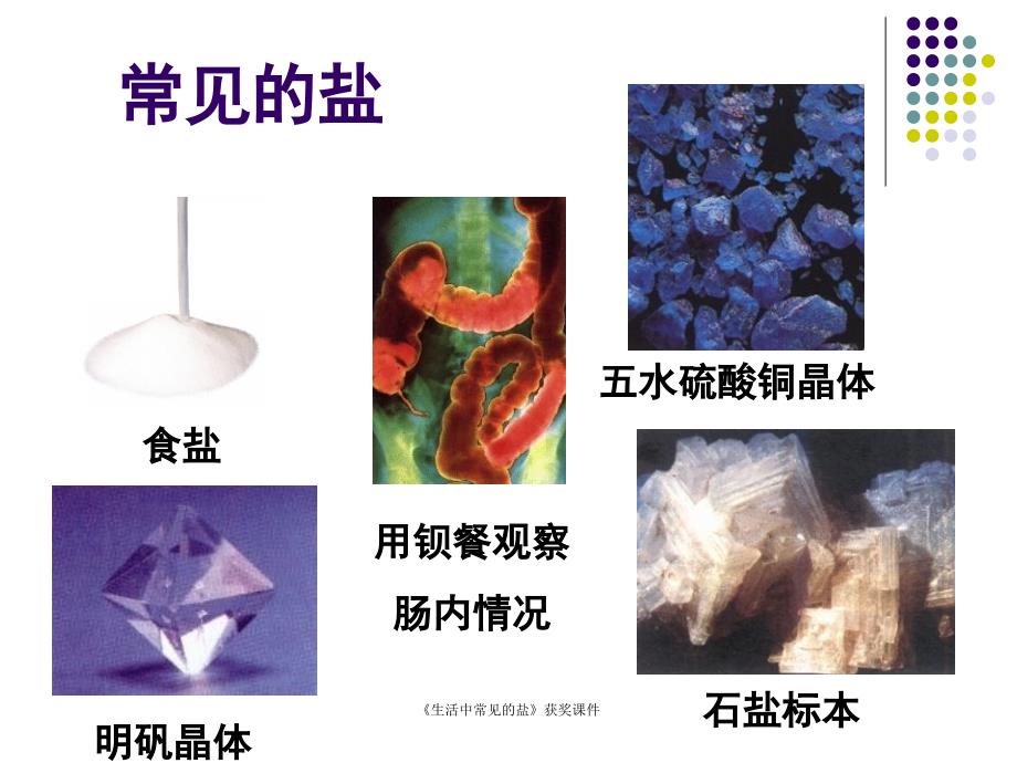 生活中常见的盐获奖课件_第4页