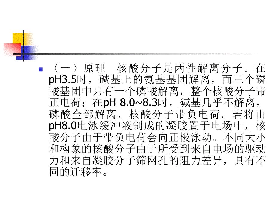 分子生物讲义：第七章 分子生物学常用技术_第4页