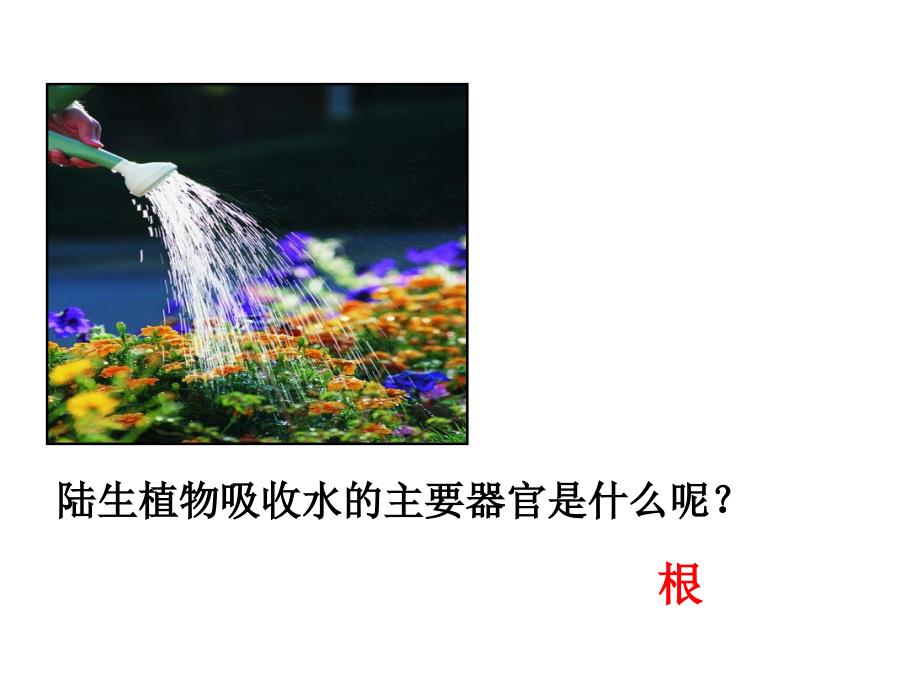 植物生长需要水_第2页