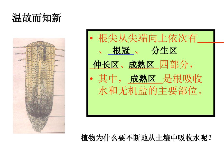 植物生长需要水_第3页