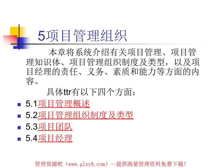 《项目管理组织》PPT课件_第1页