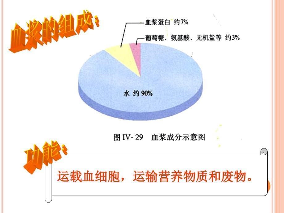 人教版七下生物第四章人体内的物质运输血液循环复习课件共49张PPT_第5页