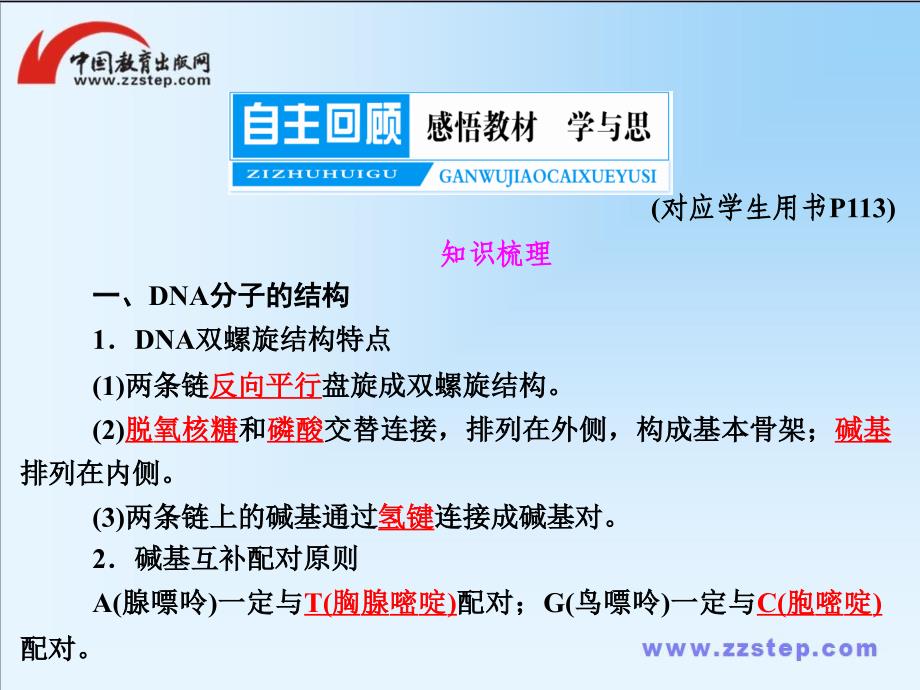 高考生物总复习一轮课件必修232DNA分子的结构和复制与基因的本质_第2页