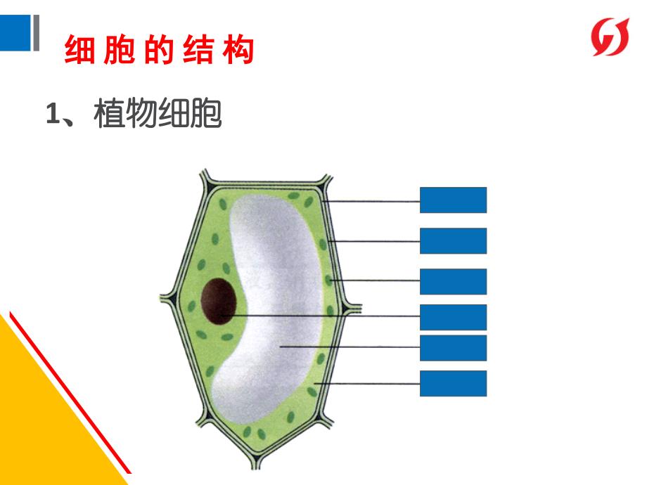 上海初中科学会考复习(实验部分)课件PPT_第3页