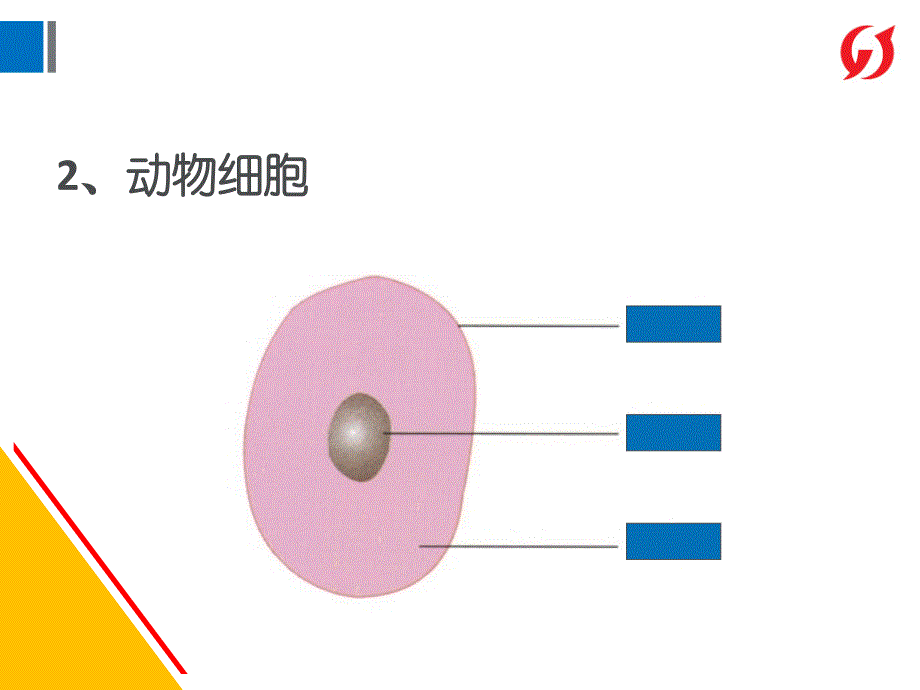 上海初中科学会考复习(实验部分)课件PPT_第4页