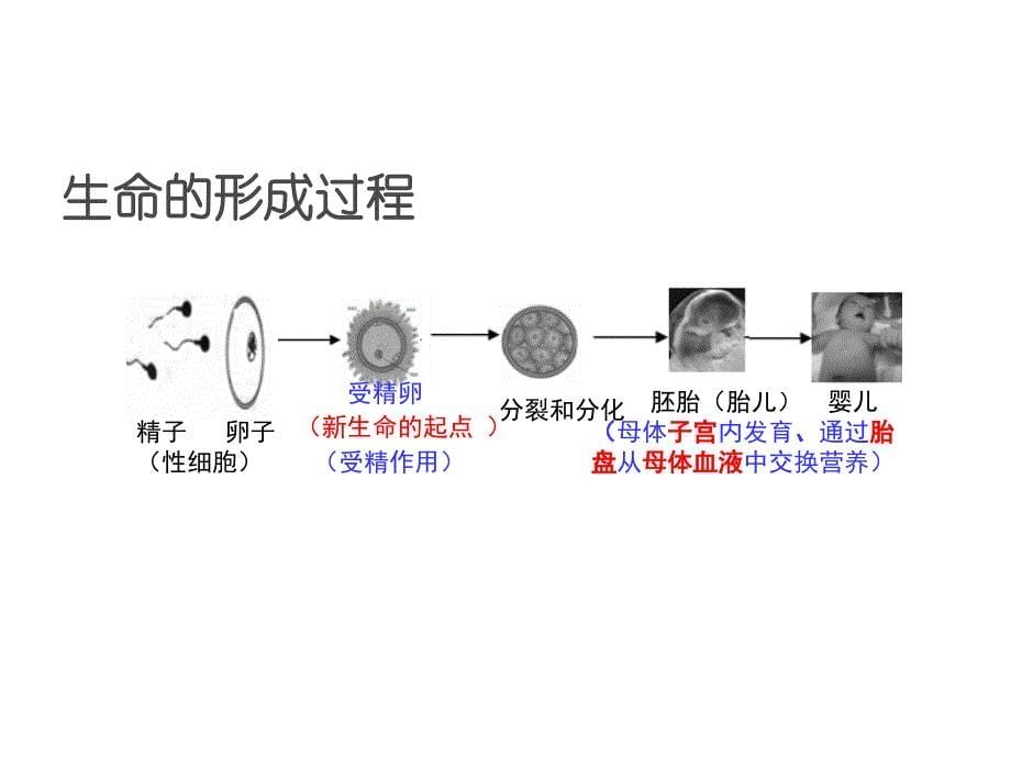 上海初中科学会考复习(实验部分)课件PPT_第5页