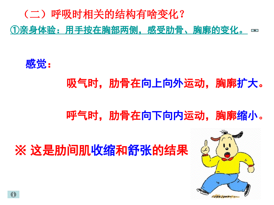 发生在肺内的气体交换课件_第4页