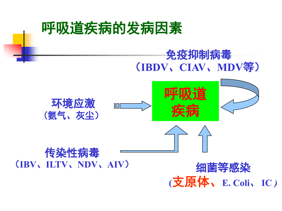 鸡毒支原体与滑液囊支原体的危害及控制措施_第4页