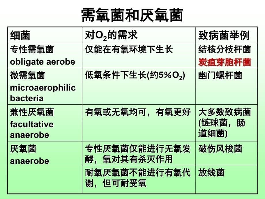 《细菌的增殖与代谢》PPT课件_第5页