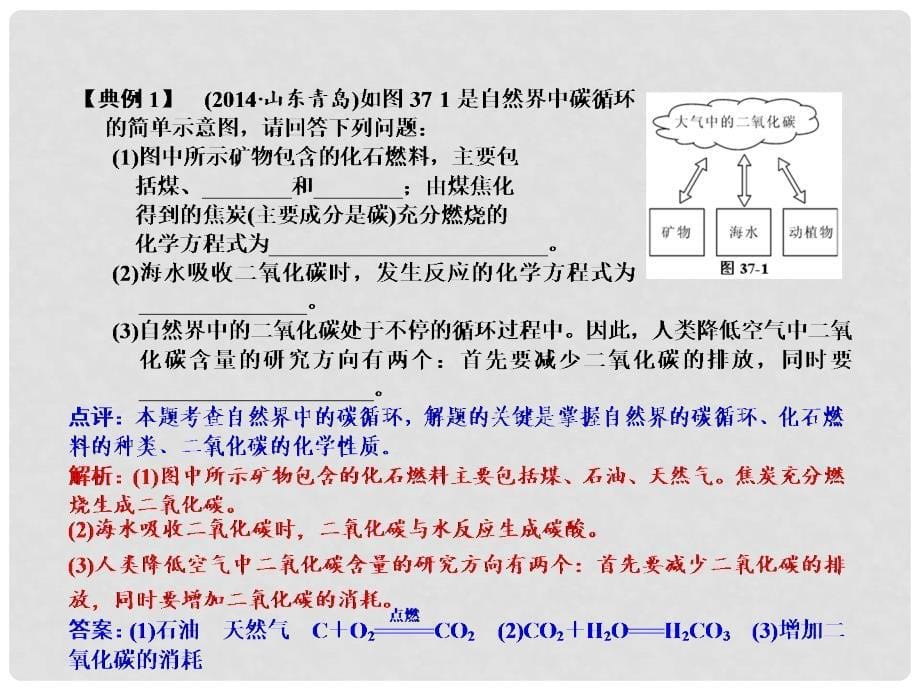 浙江省中考科学 第37课 物质间的循环和转化复习课件_第5页