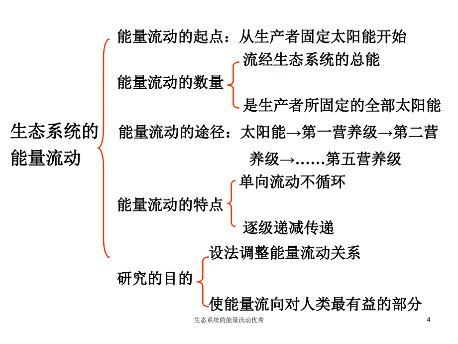 生态系统的能量流动课件_第4页