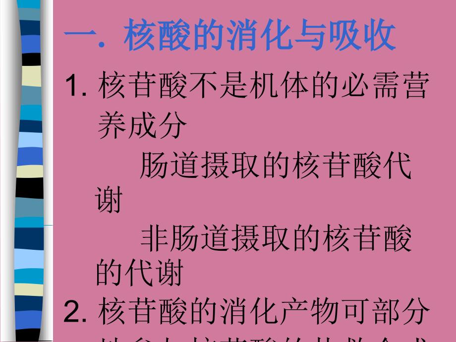 核苷酸代谢3ppt课件_第4页