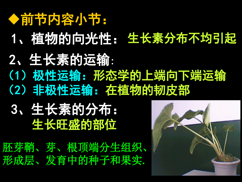 32生长素的生理作用_第2页