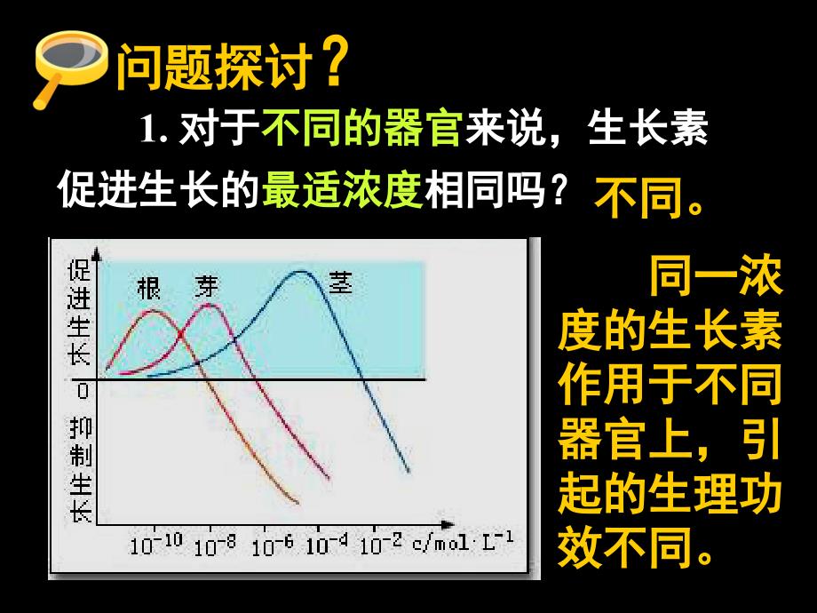 32生长素的生理作用_第3页